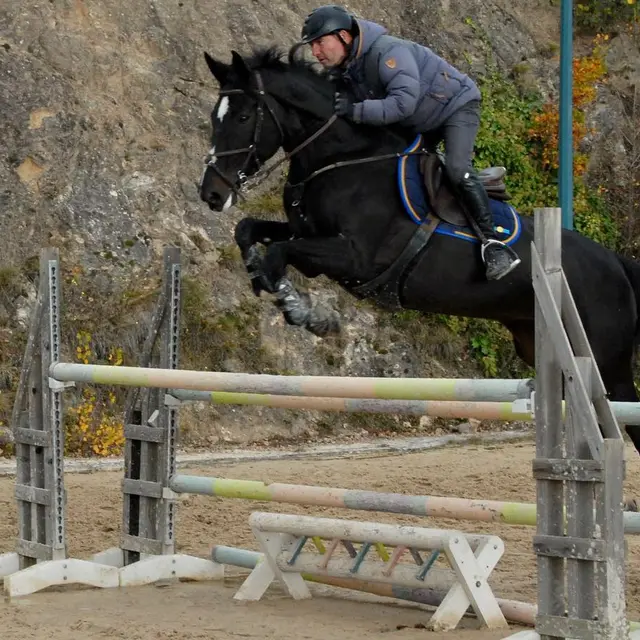 Ecuries Fabrice Gellet