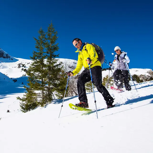 Raquette à neige Sambuy
