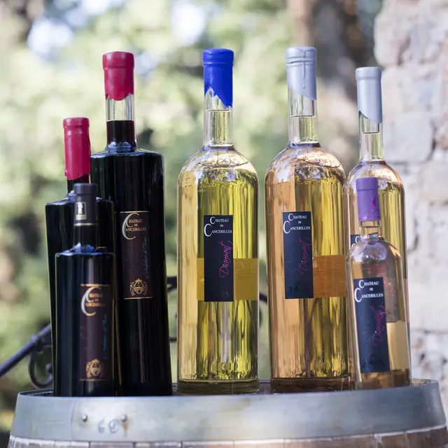 Château de Cancerilles