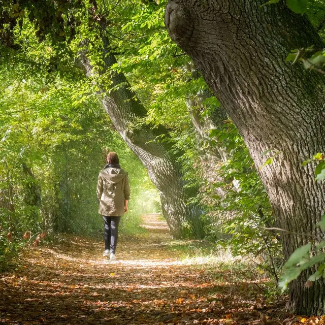 Balade immersive autour du Vallon de Carqueiranne_Carqueiranne
