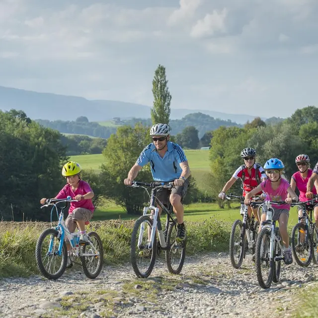 Découverte Albanais VTT
