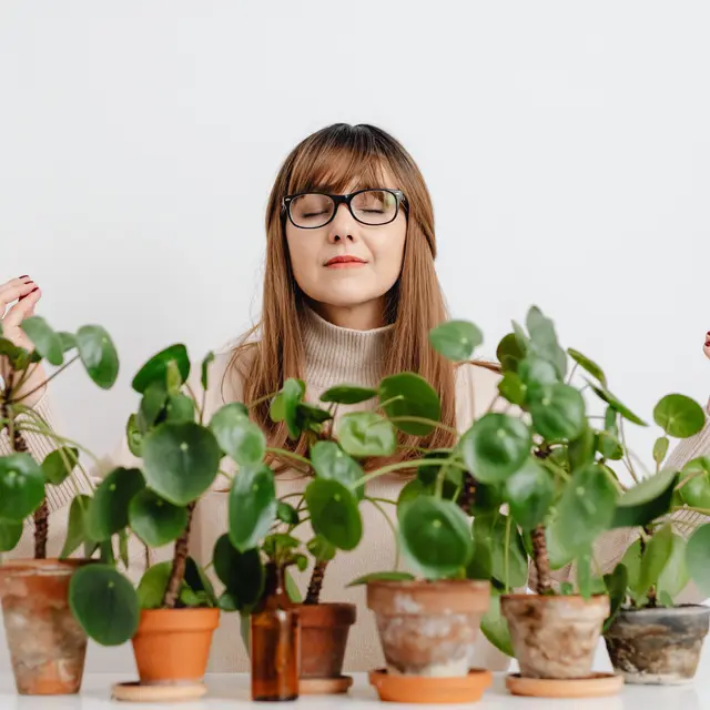 Troc de plantes_Saint-Barthélemy-Lestra