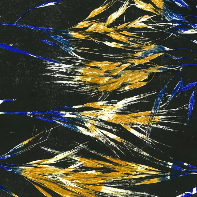 Exposition : Lignes, tiges et dessins d'herbes - Diane Etienne_Saint-Martin-d'Uriage