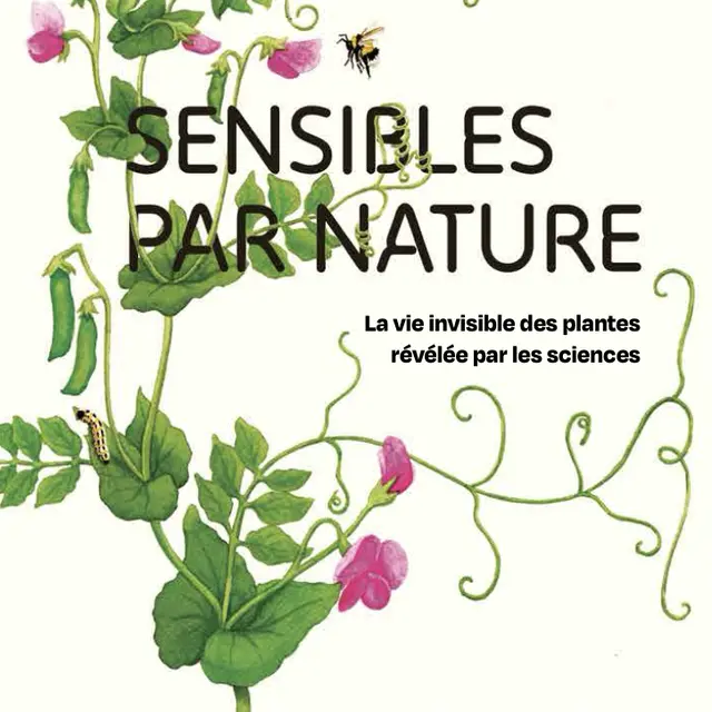 Rencontre dédicace autour du livre Sensibles par nature_Avignon