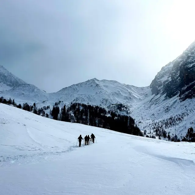 Journée découverte de la survie en hiver avec Dam-nature04