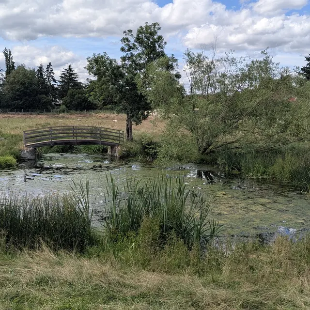 La biodiversité en ville expliquée