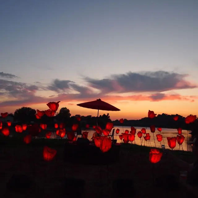 LE CHANT DES COQUELICOTS