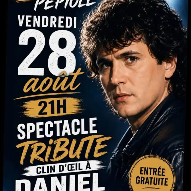 Spectacle hommage à Daniel Balavoine - Comité des Fêtes de la Gare_Ollioules