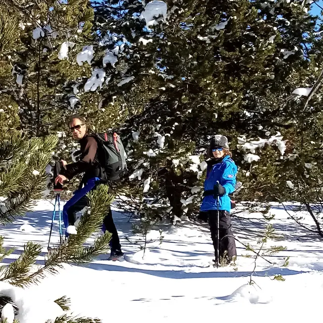 Balades et randonnées en raquettes
