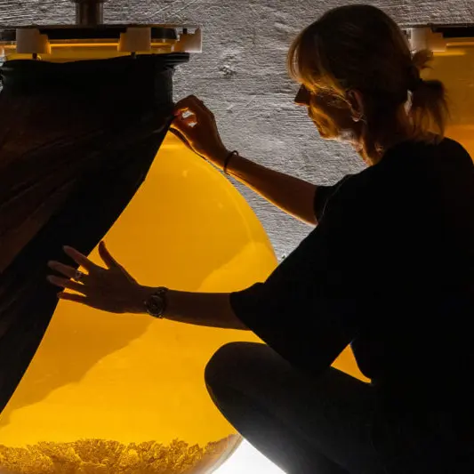 L'Âme du Vin : Visite et dégustation au Domaine de Montvac_Vacqueyras