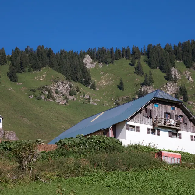 Goûter à l'alpage de Barbossine