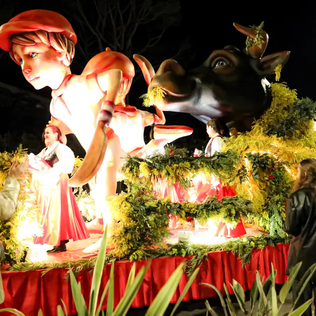 Village Fête du Mimosa et Parade Nocturne_Mandelieu-La Napoule