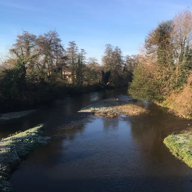 Vue du pont de pierre