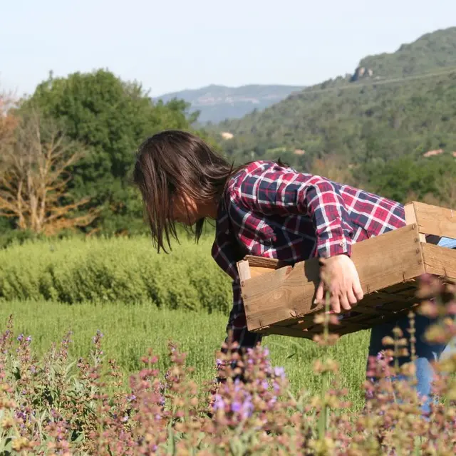 Découverte sensorielle des herbes de Provence_Esparron de Pallières