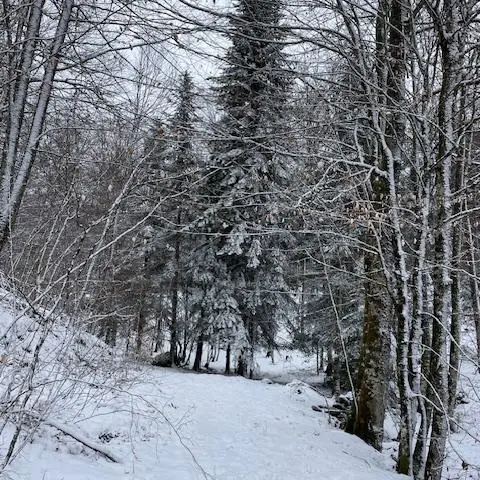 Balade découverte Le hameau de Petches_Ax-les-Thermes