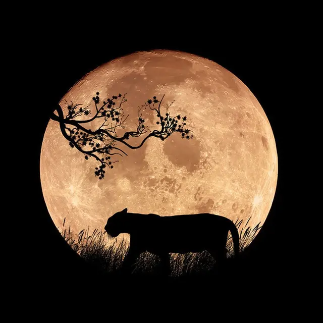 Contes musicaux africains