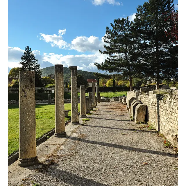 Visite flash du site antique de la Villasse_Vaison-la-Romaine