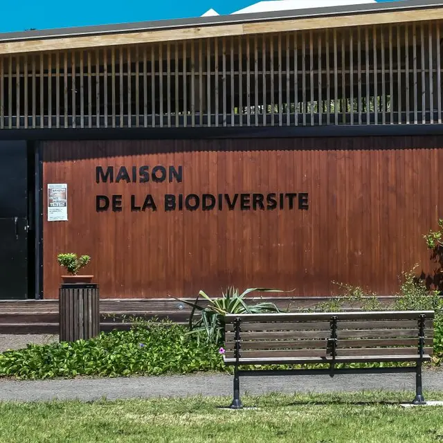 Soirée spéciale Halloween : Tout est bon dans la citrouille_Nouméa