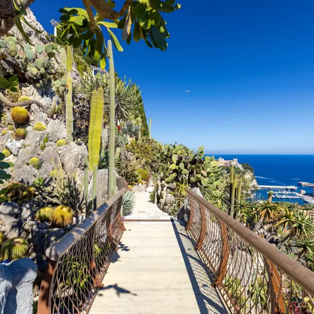 Jardin Exotique de Monaco et Grotte de l'Observatoire_Monaco