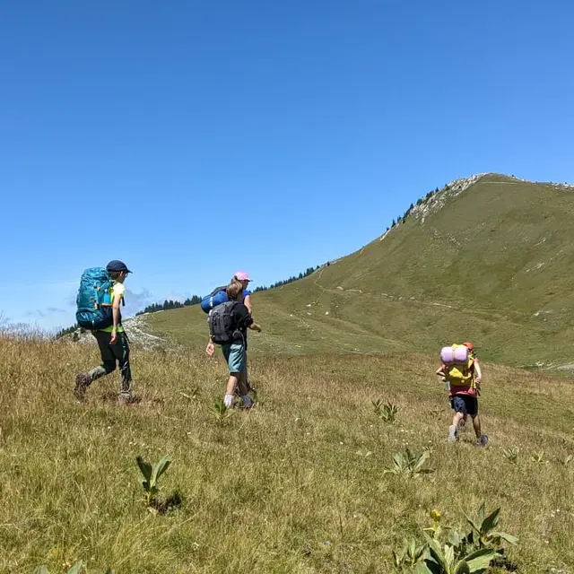 Stages d'été