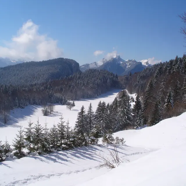 La Pointe de la Cochette - Le Désert d'Entremont