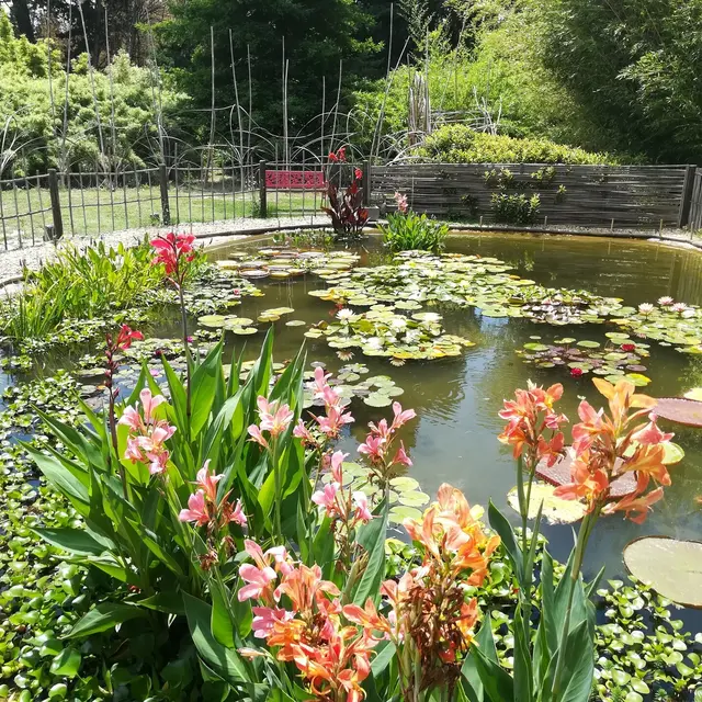 Bambus in der Provence (Eyragues) | Provence-Alpes-Cte d'Azur Tourismus