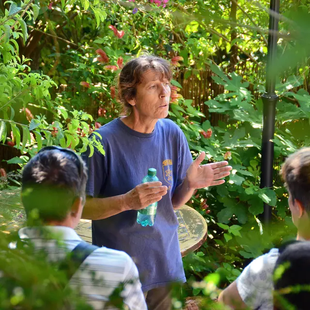 Visite guidée botanique