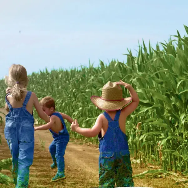 Labyrinthe de maïs_Saint-Cyr-sur-Menthon