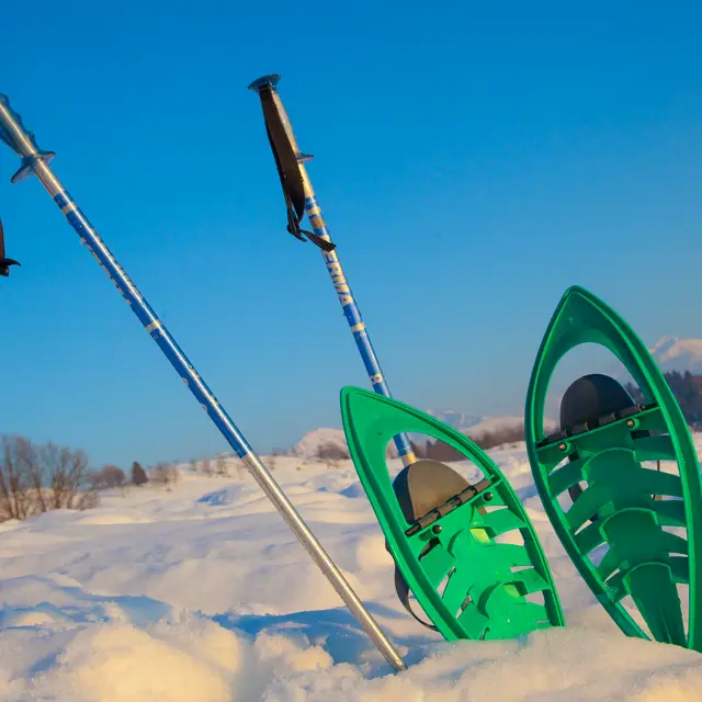 Raquettes sur le Plateau de Plaine Joux