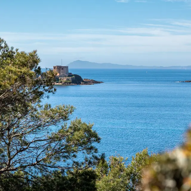 Sentier du littoral – Balade « Cap sur le Grand Langoustier » sur l’île de Porquerolles_Hyères