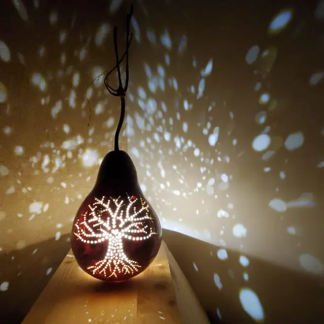 Stage ''Fais pas ta gourde, viens t'illuminer'' à Salagon_Mane