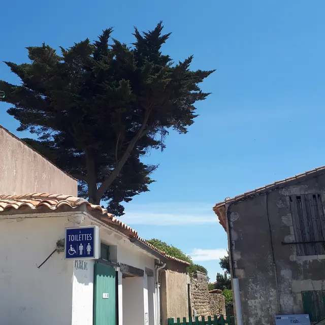 Toilettes de la place Carnot