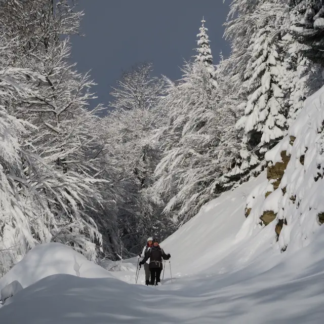 Balades raquettes Weekend à La Féclaz ou au Revard_La Féclaz