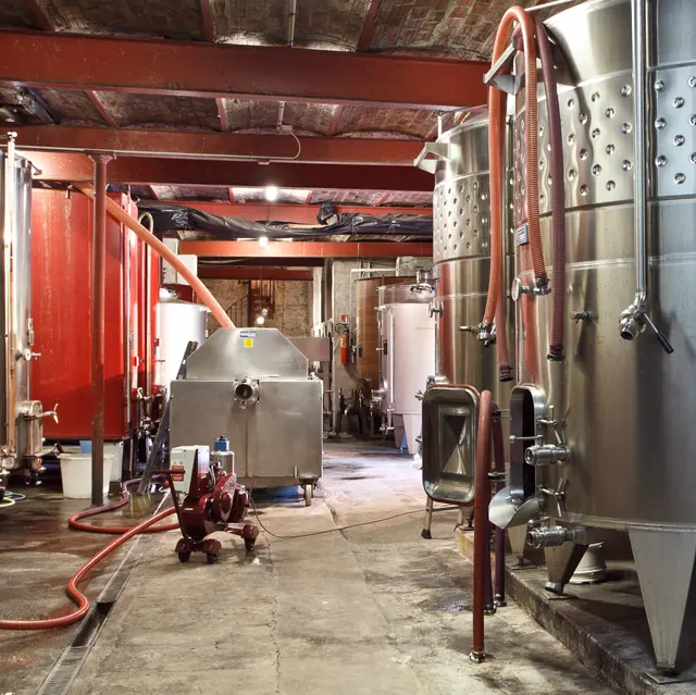 Domaine Le Bercail