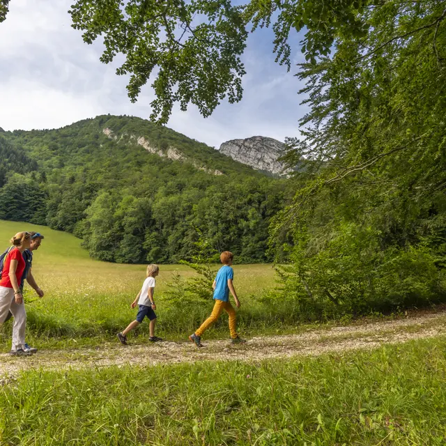 La côte Charvet depuis Mont Saint Martin