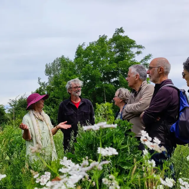 Visite du jardin El Manantial dans le cadre des 