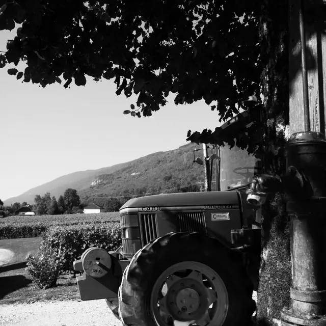 Caveau Gallice