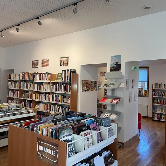 Salle de médiathèque, meubles de rangements et bibliothèques comprenant romans, BD, albums, romans, DVDs, romans graphiques, ordinateur. Ouvrages rangés par catégories