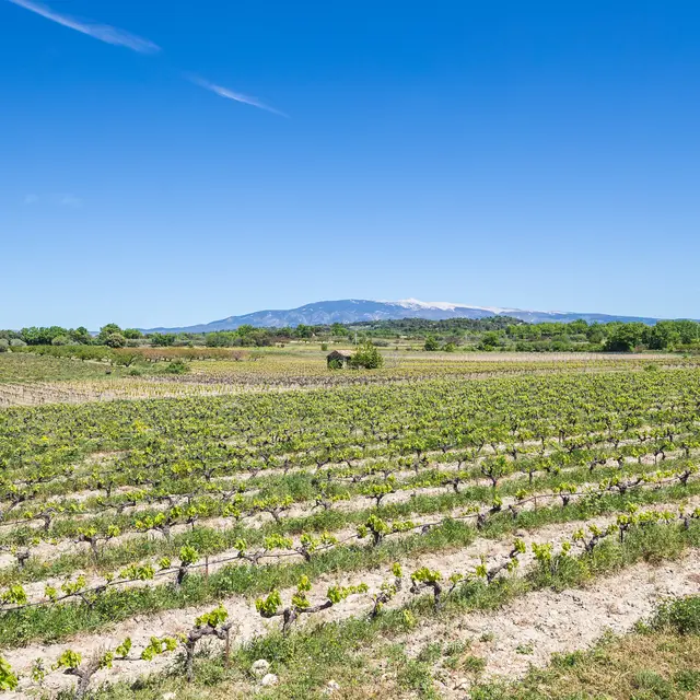 Domaine Plein Pagnier
