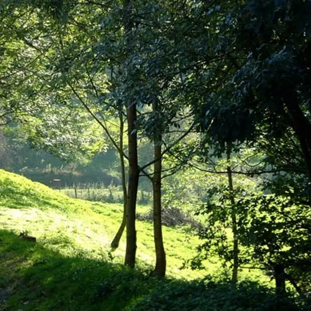 Parc Le Chasseur