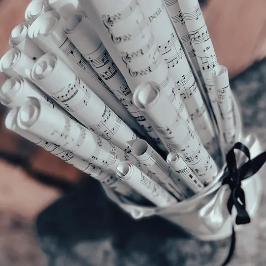 Concert : Vanicek Frantisek - Orgue_Rians