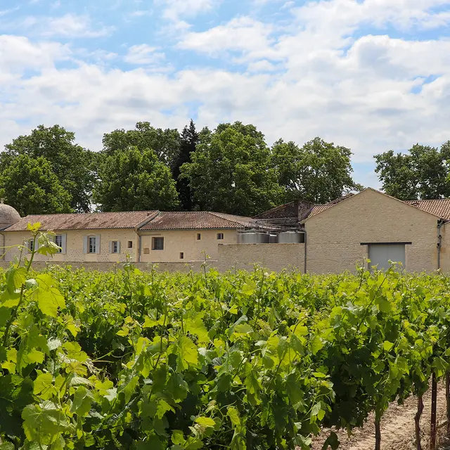 Domaine du Grand Mas de Lansac_Tarascon