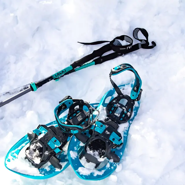 Marche découverte en raquettes_Vars