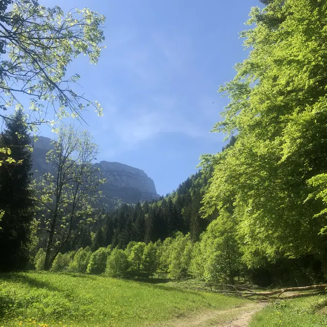 5 - Le tour du Roc d'Arguille en trail