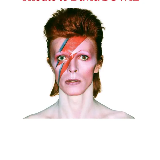 TRIBUTE DAVID BOWIE_Fayence