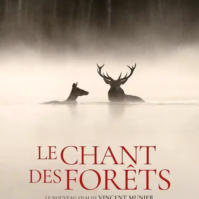 Projection du film Le chant des forêts_Guillestre