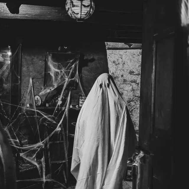 Halloween Ferme Allègre