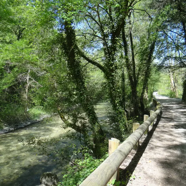 Parc départemental