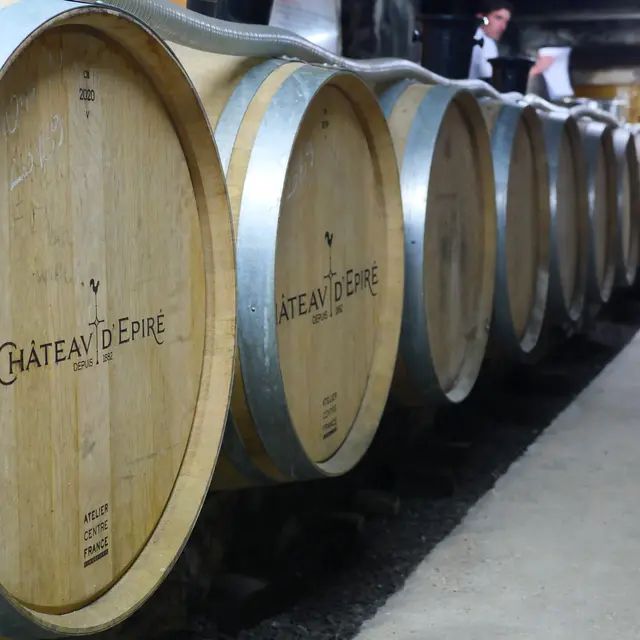Vignobe et Terroirs