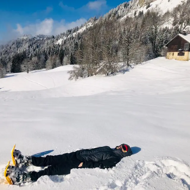 connexion à la terre